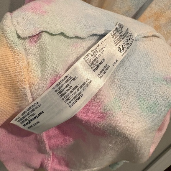 Disneyland Resort Disney Pride Hooded Full Zip Sweatshirt Plus Size XXL Unisex - Picture 12 of 13